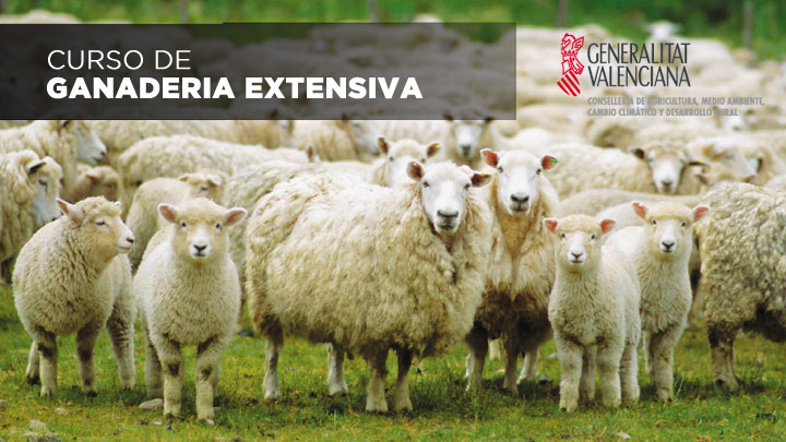Curso de ganadería extensiva y escuela de pastores