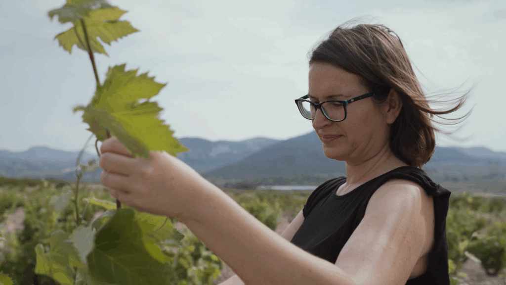 Emprendedores rurales