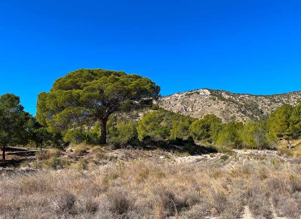 galasir_elterritorio_gallery04-min