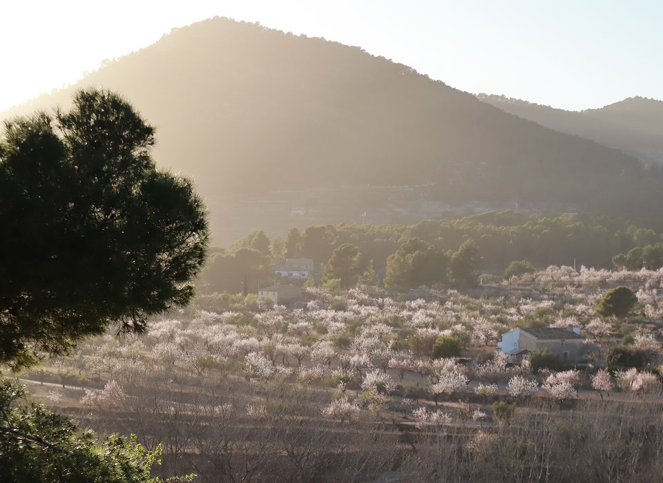 galasir_elterritorio_gallery06-min